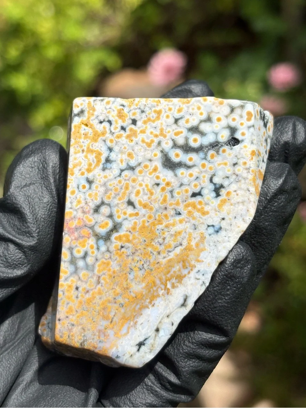 Ocean Jasper Crystal Freeform - Orbicular Jasper - Sea Jasper - Polished